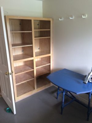 julie laundry room empty large cabinet