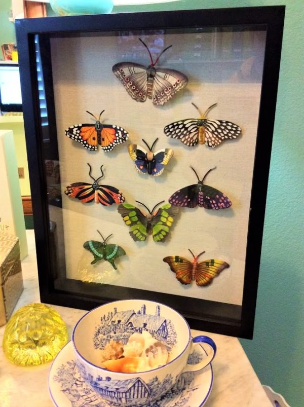 butterfly shadow box